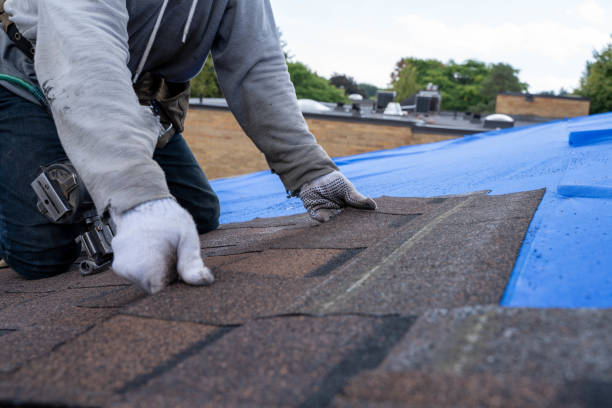 Best New Roof Installation  in Zion, IL