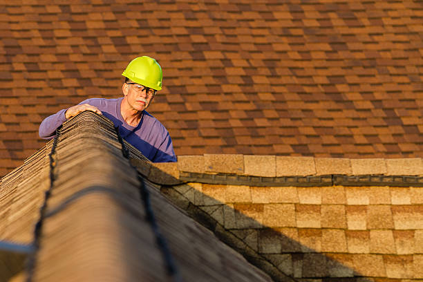Best Roof Maintenance Services  in Zion, IL