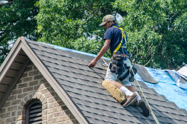 Best Commercial Roofing Services  in Zion, IL